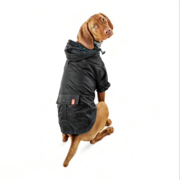 reddy dog raincoat